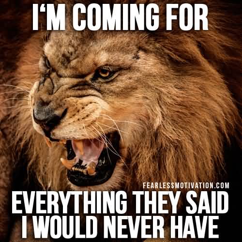 Quotes About Lions Meme Image 20