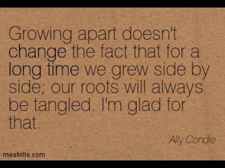 Quotes About People Changing And Growing Apart Meme Image 16