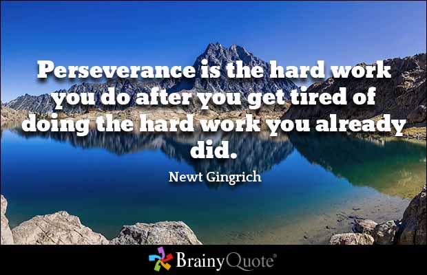 Quotes About Perseverance Meme Image 10