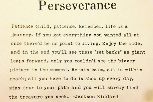 Quotes About Perseverance Meme Image 14