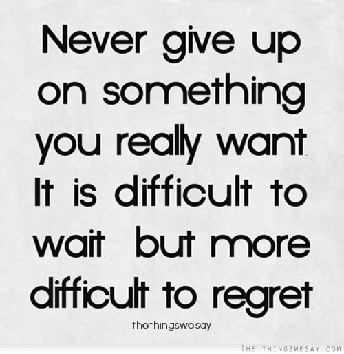 Quotes About Perseverance Meme Image 16