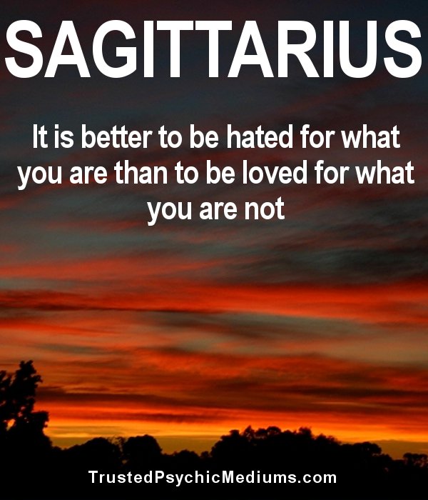 Quotes About Sagittarius Meme Image 14