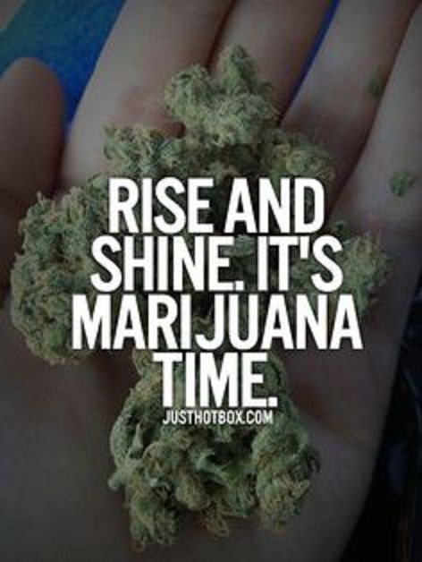 Quotes About Weed Meme Image 06