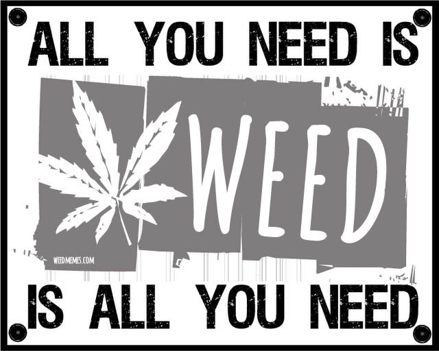 Quotes About Weed Meme Image 07