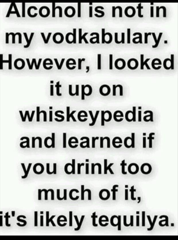 Quotes On Alcohol Funny Meme Image 15