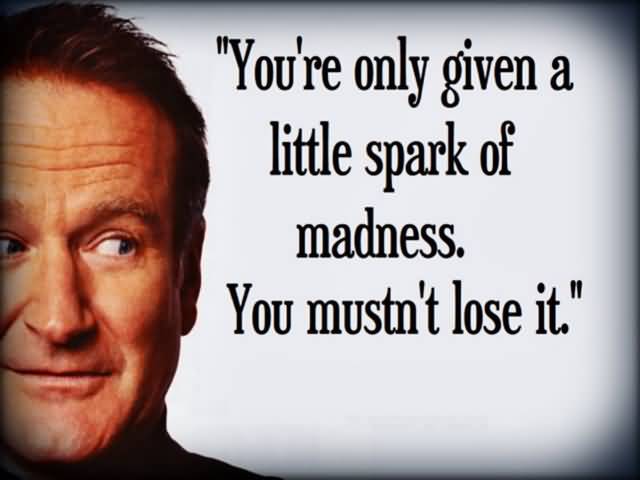Robin Williams Quotes About Life Meme Image 10