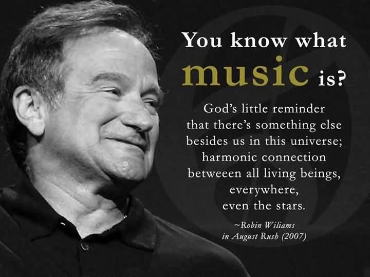 Robin Williams Quotes About Life Meme Image 16