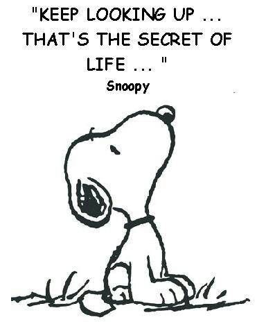 Snoopy Quotes About Life Meme Image 04