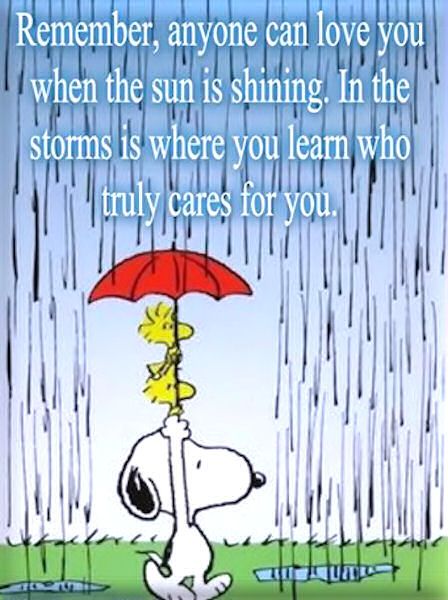 Snoopy Quotes About Life Meme Image 14