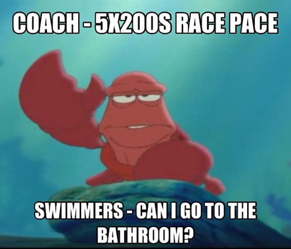 Swim Quotes Funny Meme Image 08