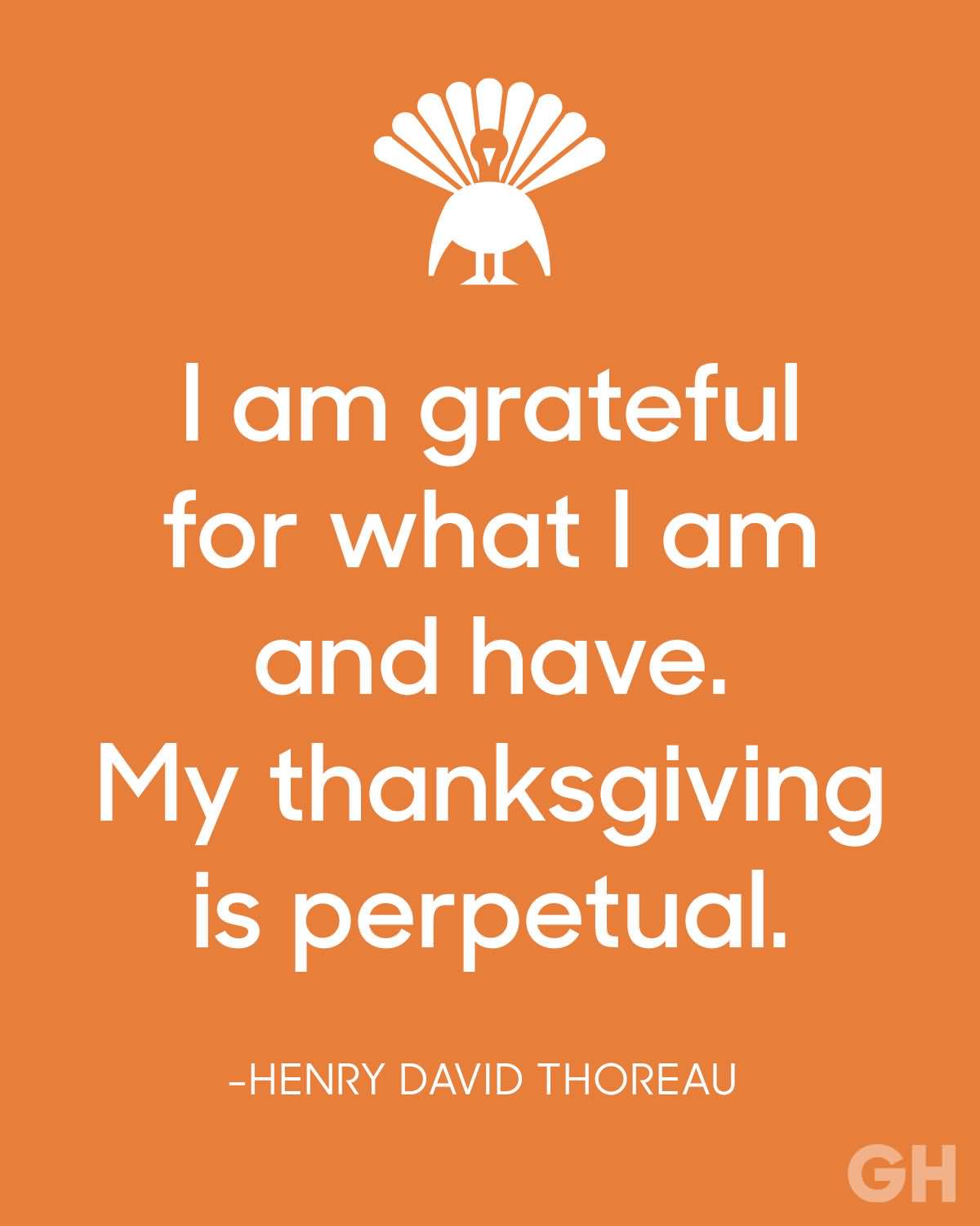 Thanksgiving Quotes Images Meme Image 16