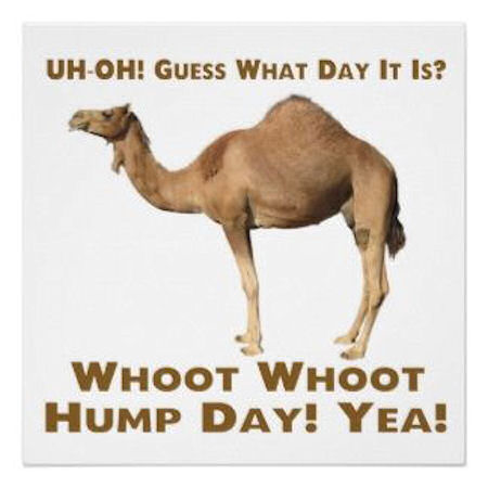 Uh Oh! Guess What Day It Is Whoot Whoot Hump Day! Yea!