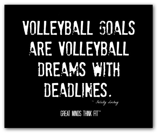 Volleyball Inspirational Quotes Meme Image 13