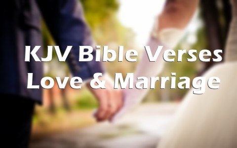 Bible Quotes On Love And Marriage 09