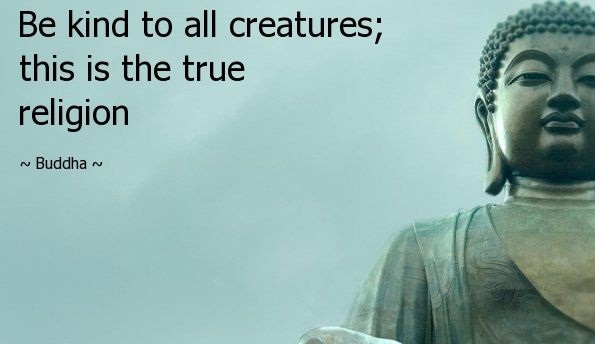 Buddha Quote On Life 05