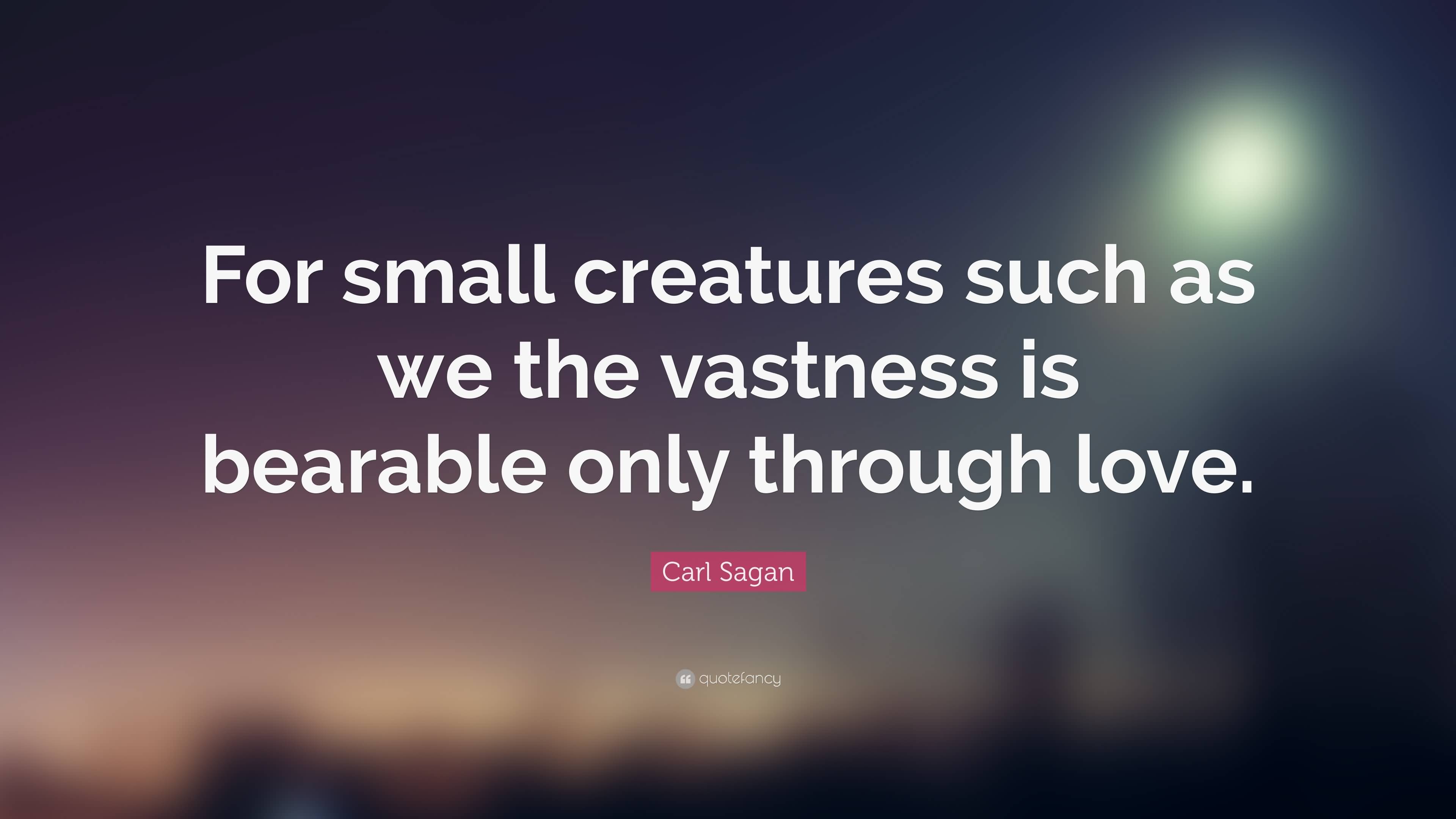 Carl Sagan Love Quote 14