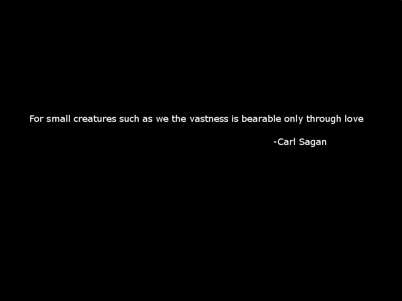 Carl Sagan Love Quote 18