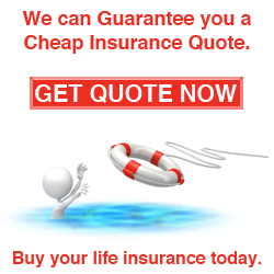 Cheap Life Insurance Quote 15
