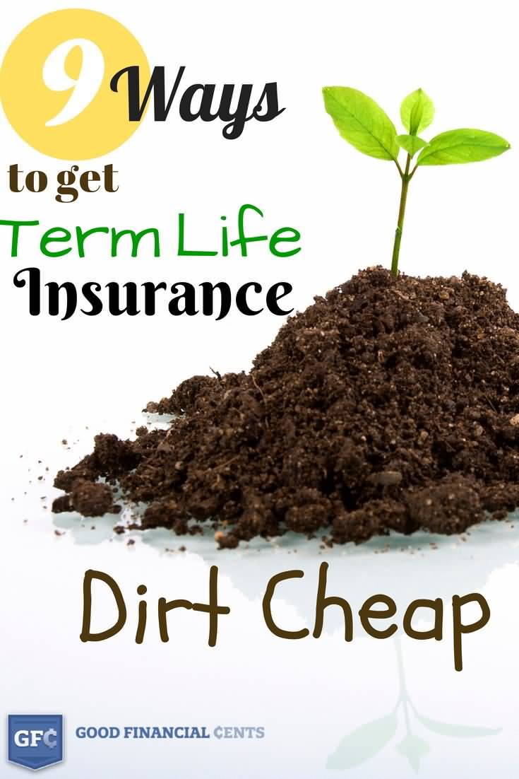 20 Cheap Term Life Insurance Quotes Pictures