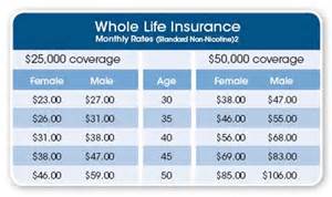 Cheap Whole Life Insurance Quotes 19