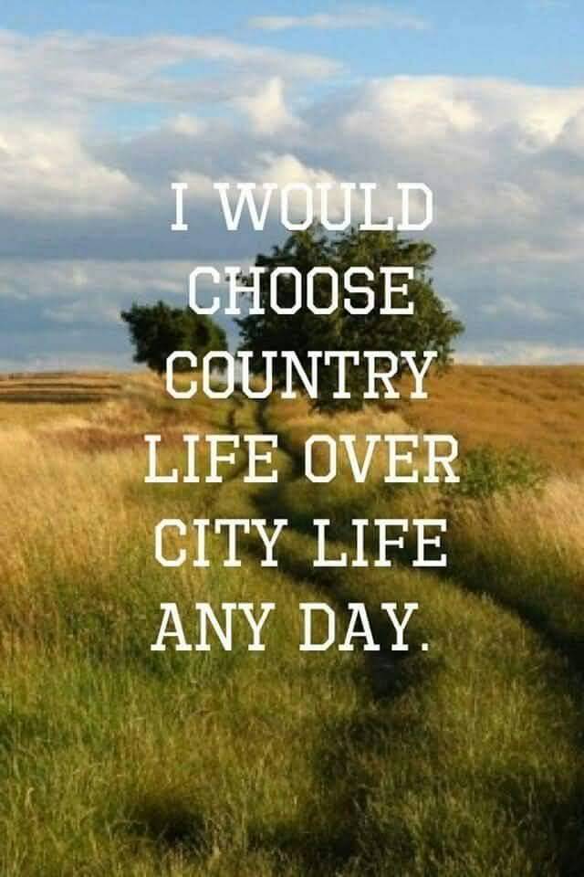 Country Life Quotes And Sayings 14