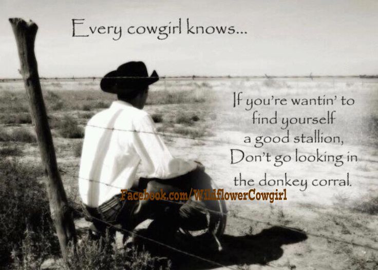 Cowboy Love Quotes 17