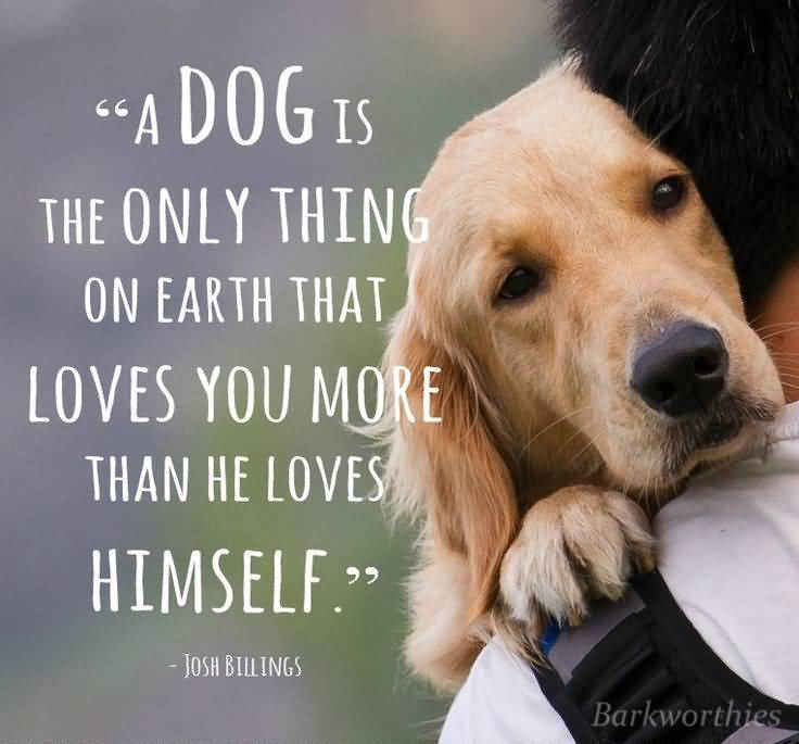 Dog Love Quotes 03