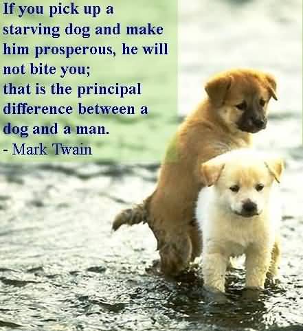 Dog Love Quotes 05