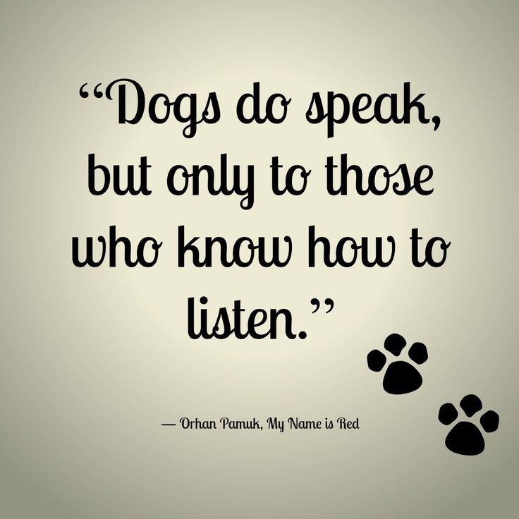 Dog Love Quotes 06