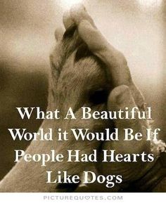Dog Love Quotes 11