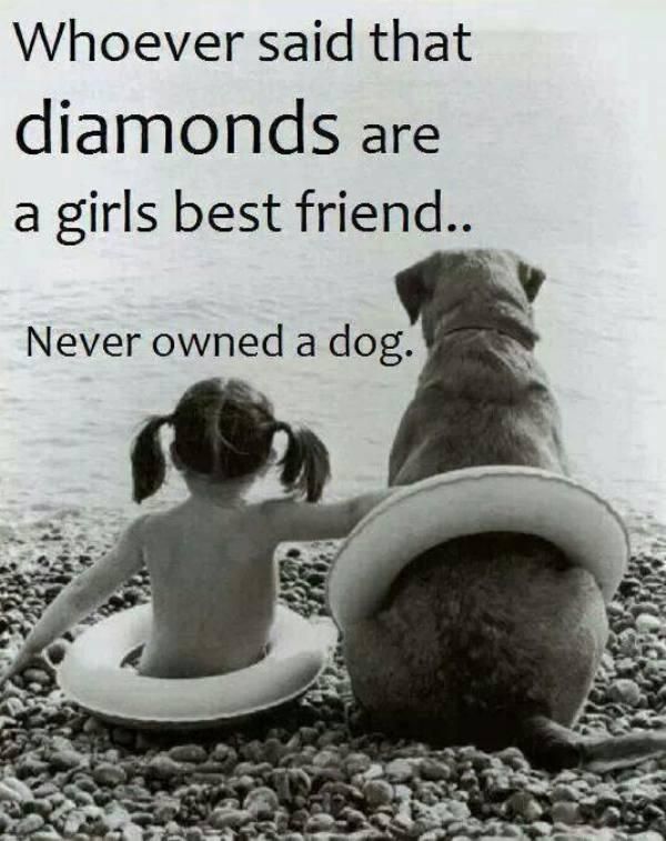 Dog Love Quotes 13