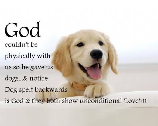 Dog Love Quotes 14