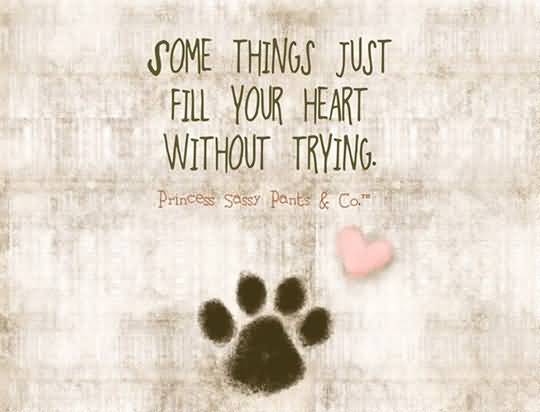 Dog Love Quotes 17