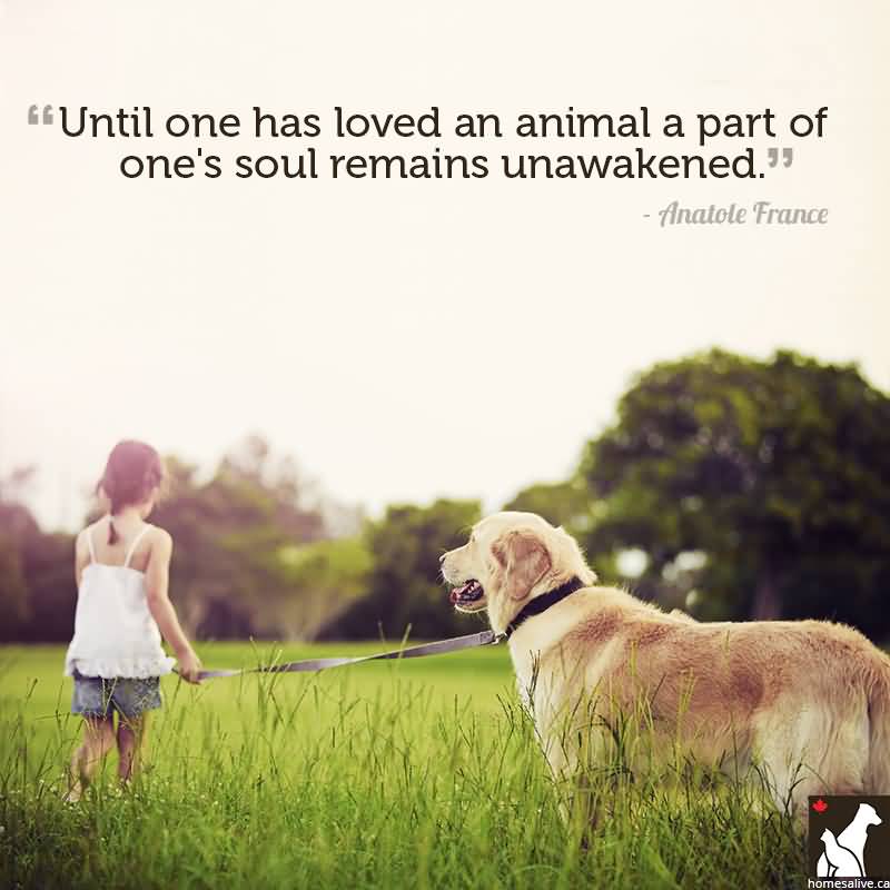 Dog Love Quotes 18