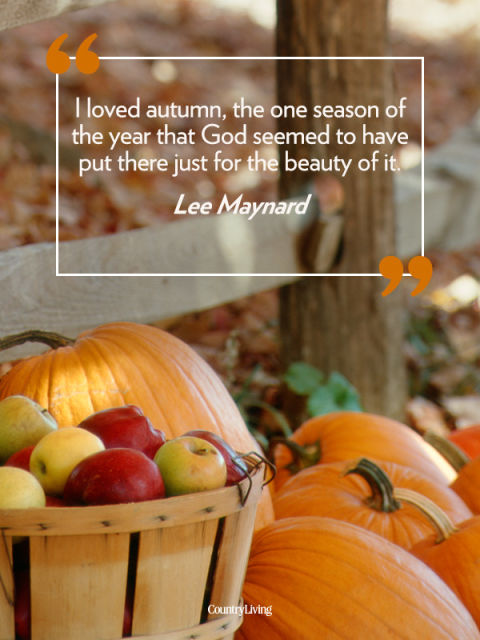 Fall Quotes About Love 16