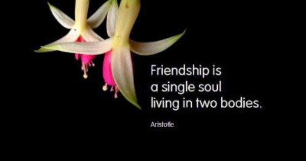 Famous Quote About Friendship 01