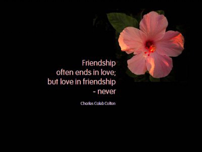 Famous Quote About Friendship 06