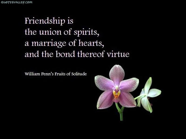 Famous Quote About Friendship 12