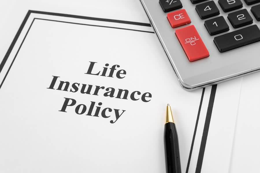 Fixed Term Life Insurance Quotes 16