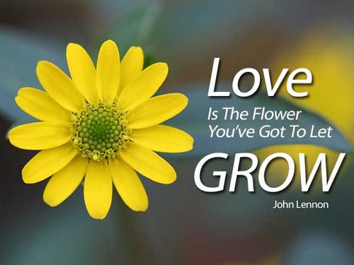 Flower And Love Quotes 07