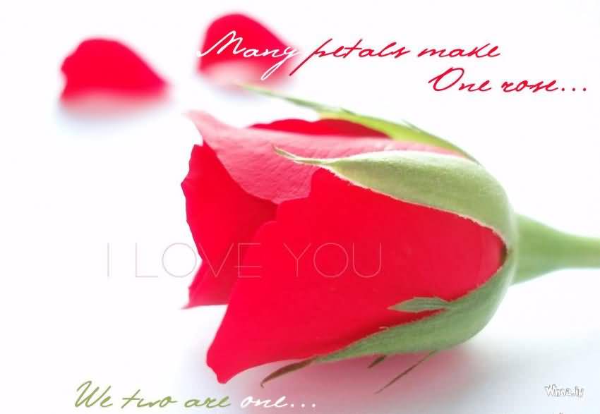 Flower Love Quotes 07