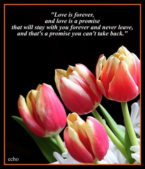 Flower Love Quotes 11