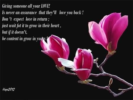 Flowers Love Quotes 16