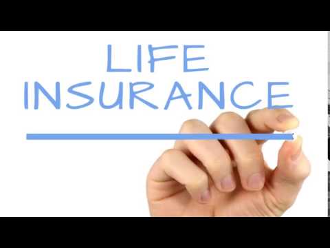 Free Life Insurance Quote 05