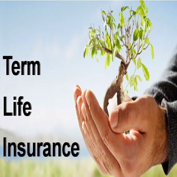 Free Term Life Insurance Quotes Instant 15