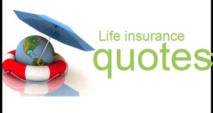 Free Whole Life Insurance Quotes 20