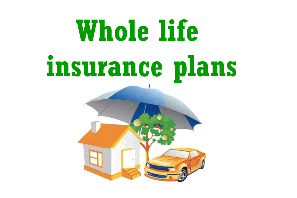 Full Life Insurance Quotes 08