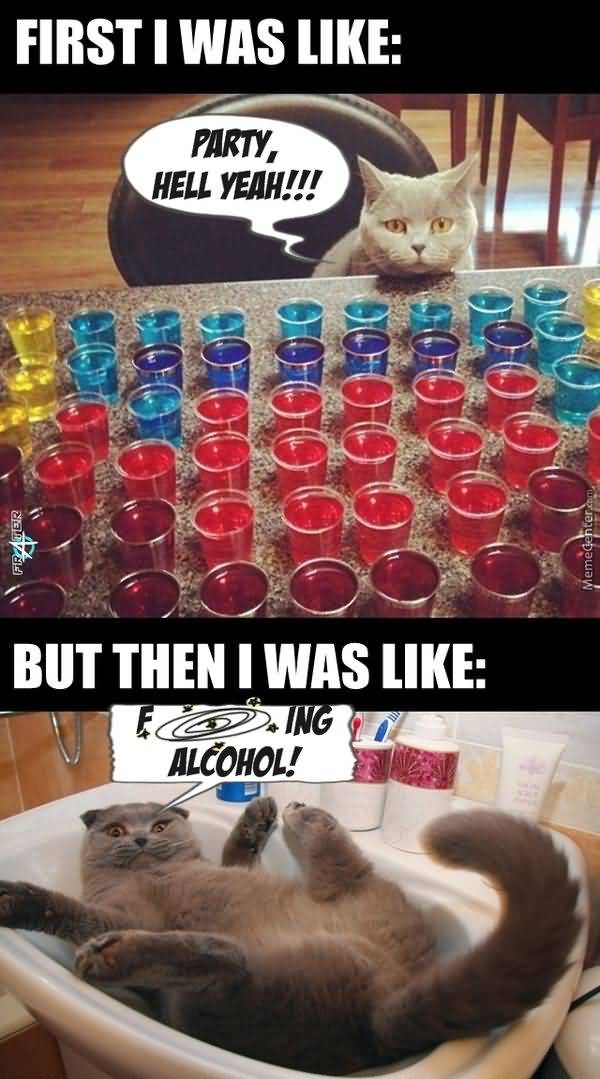 Funny Alcoholism meme photo