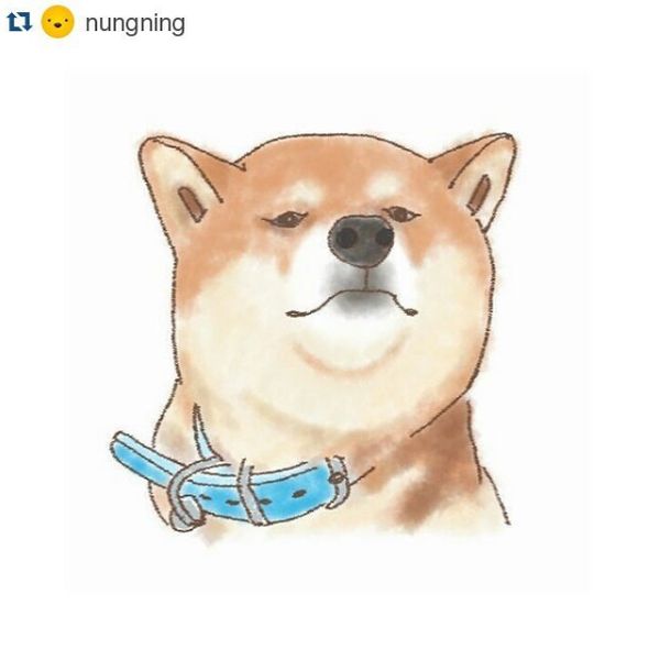 Funny Cartoon Doge Picture