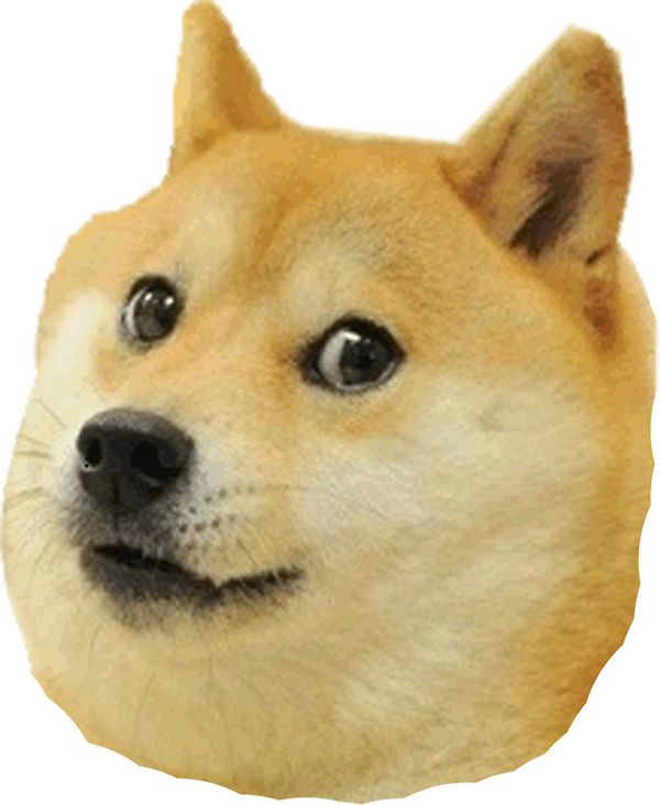 Funny Doge Face Picture